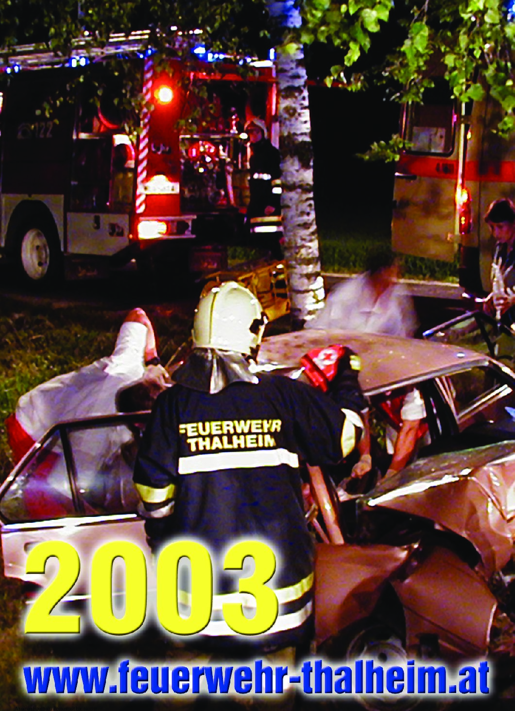 Jahresbericht 2003